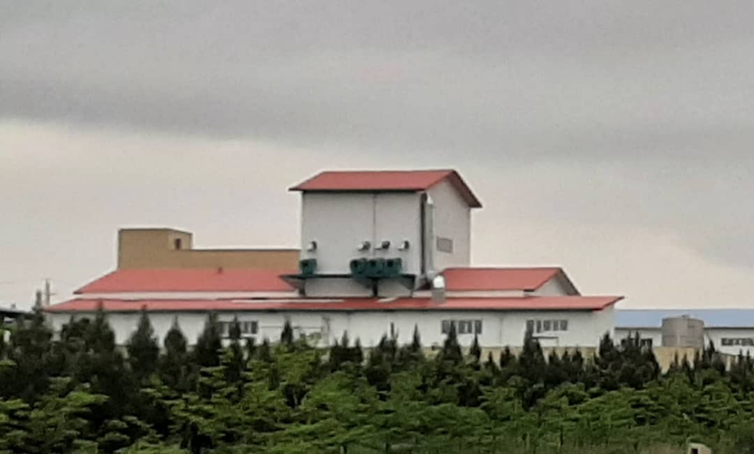 PHOTO-2025-07-20-17-10-08